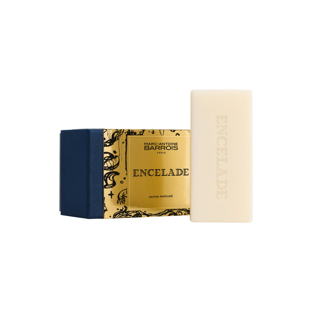 Marc-Antoine Barrois Encelade Seife